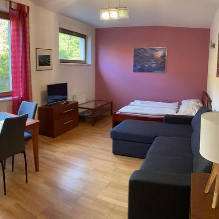 Studio Apartment Michael Špindlerŭv Mlýn Εξωτερικό φωτογραφία