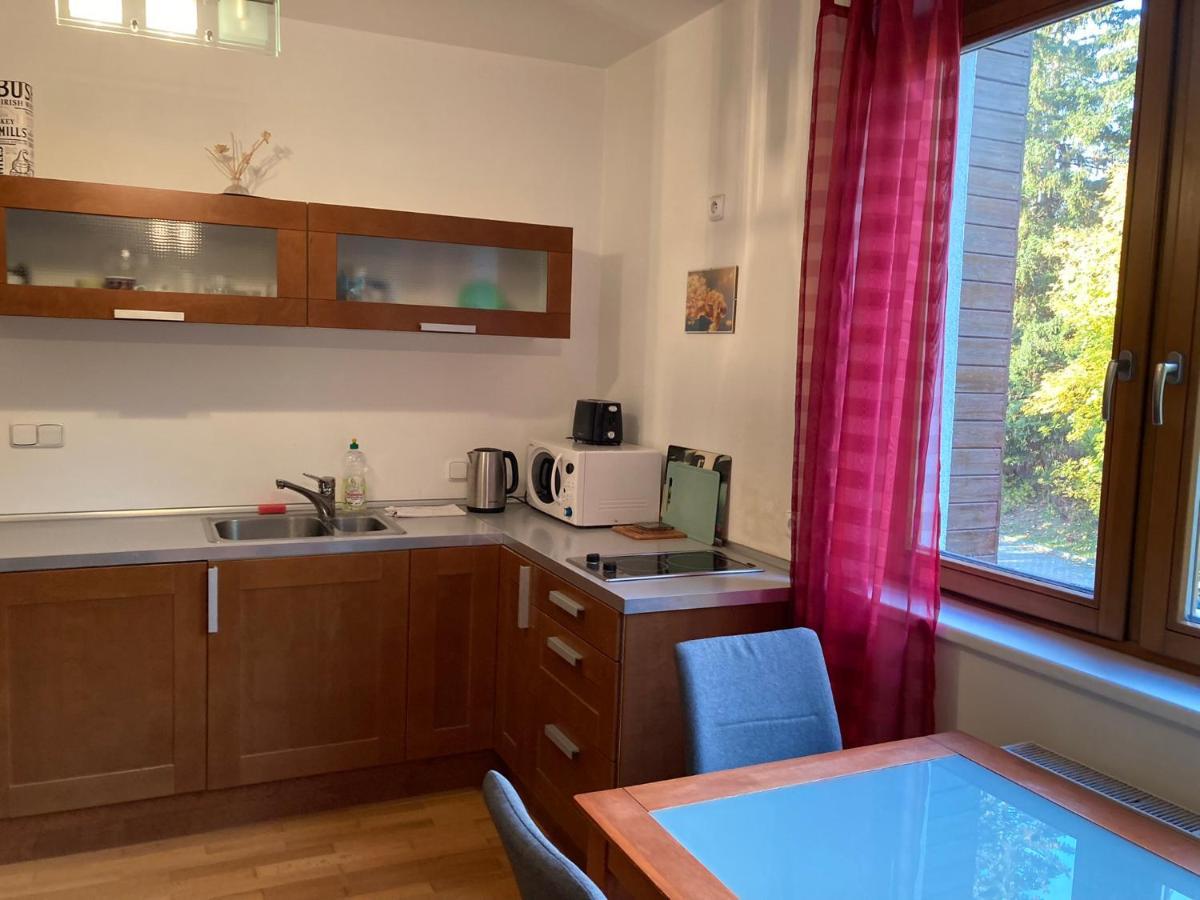 Studio Apartment Michael Špindlerŭv Mlýn Εξωτερικό φωτογραφία