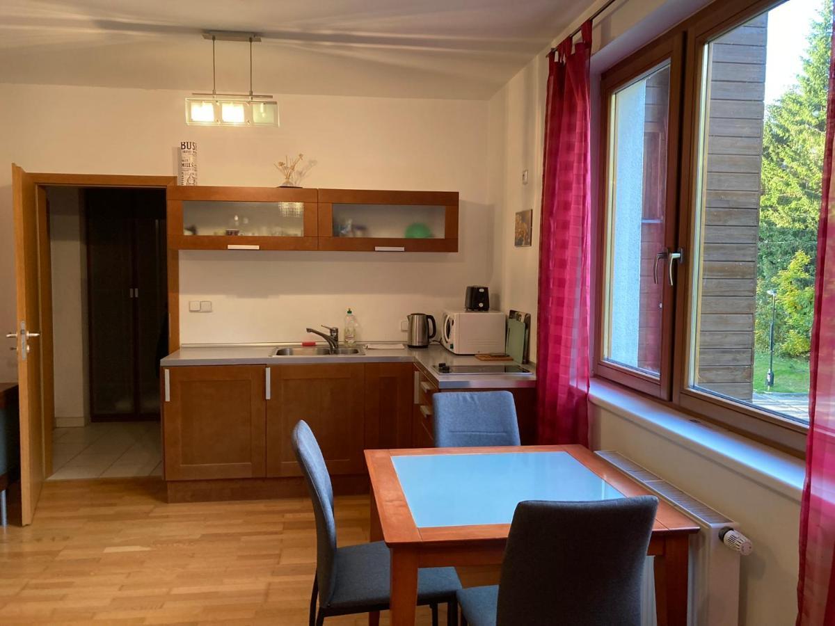 Studio Apartment Michael Špindlerŭv Mlýn Εξωτερικό φωτογραφία