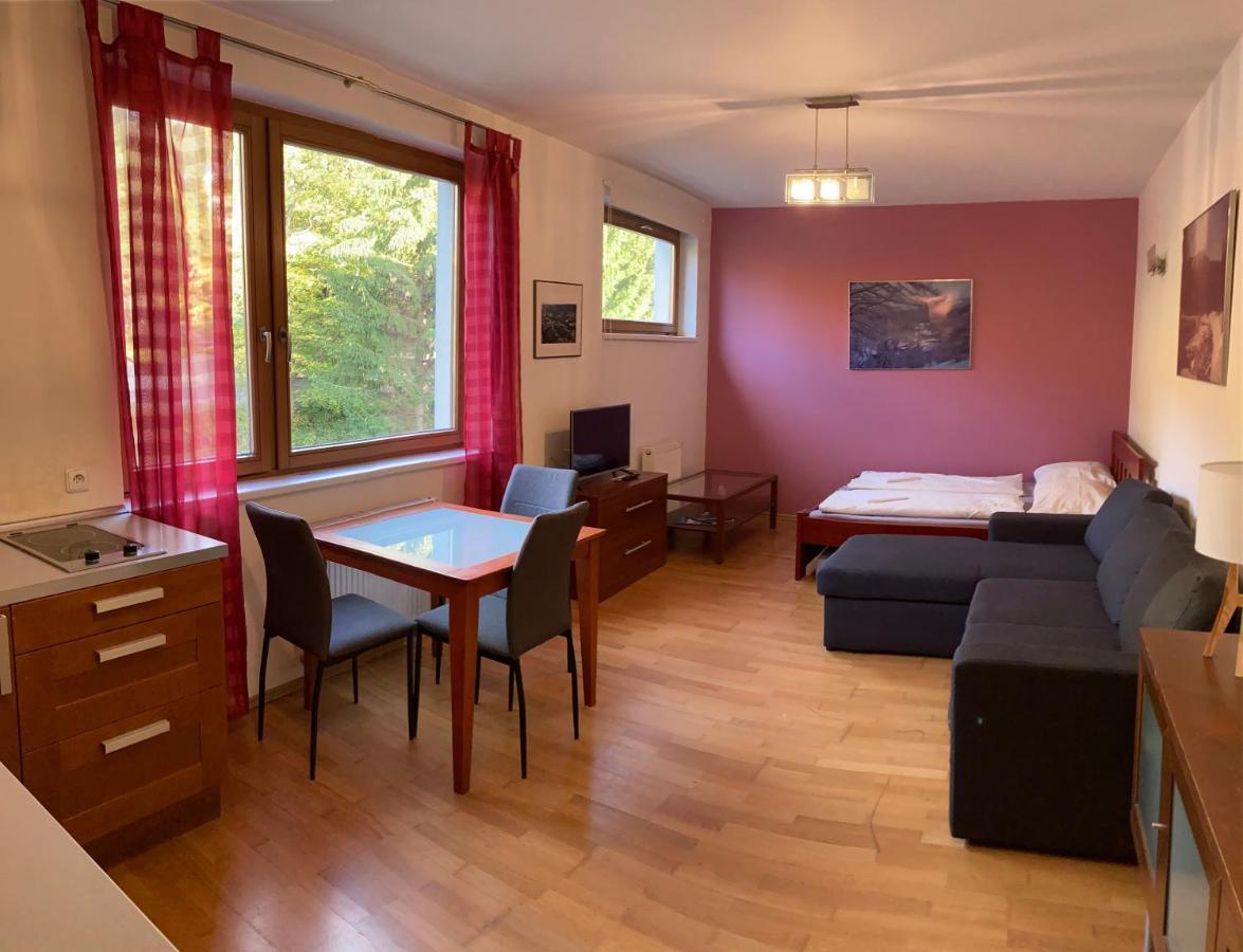 Studio Apartment Michael Špindlerŭv Mlýn Εξωτερικό φωτογραφία